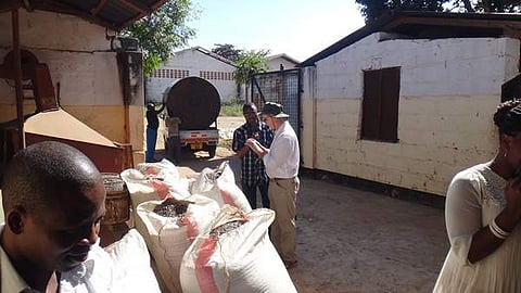 Photo courtesy: Michigan State University