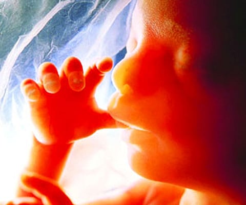 Image used for representational purpose.