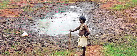 Pallams are natural depressions that occur on laterite hillocks. A mid-sized pallam can be as large as an acre.