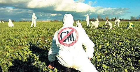 RSS dries up GM crops issue