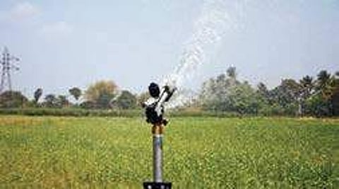 Micro-irrigation technique for bountiful harvest.