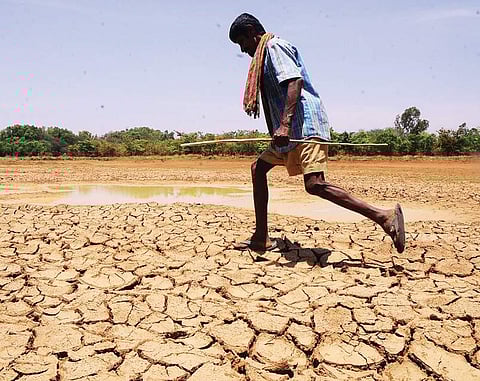 Rejuvenation of lakes in Sarjapur will help replenish groundwater table and thereby borewells | Express