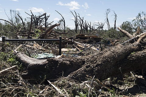 Fallen trees and debris cover the ground Sunday, April 30, 2017, in Canton, Texas. (AP)
