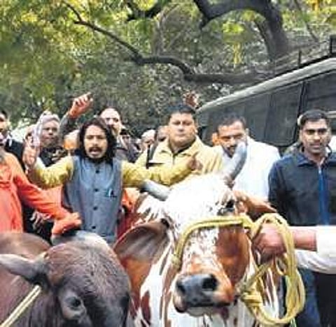 Punish mob rule for sake of global image