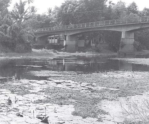 Mission 2.0: Rejuvenate Varattar and Aadi Pampa