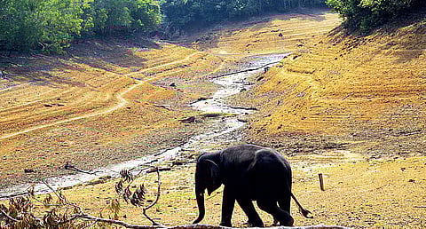 Image used for representational purpose.