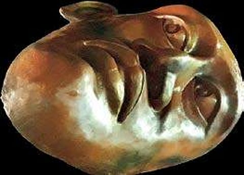 Darwish’s Identity Card