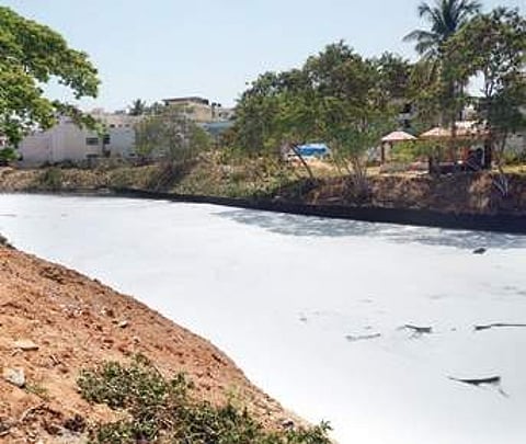 Four harvesters to clear weeds in Bellandur Lake