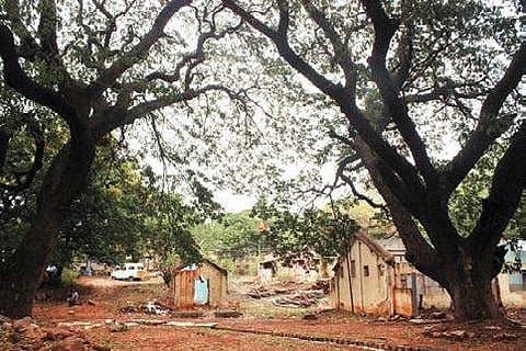 The hospital opened by FJ Richards, a visionary, is surrounded by hundred-year-old trees S Manjunath
