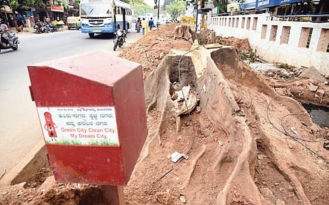 One of the seven trees that was axed on 24th Main Road in JP Nagar 1st Phase for a TenderSure project | nagaraja gadekal
