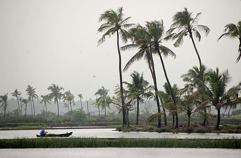 The overall conformation of India’s economy has changed much since the when the monsoon used to be the single most decisive factor. | File Photo