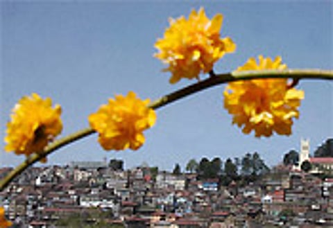 1901-1970 period, only Shimla and Darjeeling among the five hill stations studied showed a significant rise in temperature. | File Photo