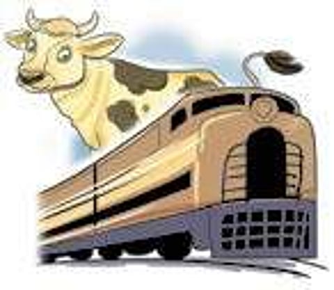 Southern Railway adds cattle class in trains, ferries animals