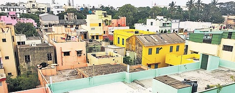 Let’s give urban jungle a new meaning!