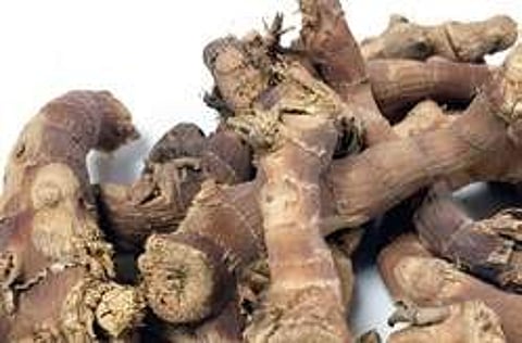 Pan ki jad blends well to give an earthy aroma