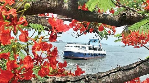 The newly-built Vypeen - Fort Kochi passenger boat 'Fort Queen' during a trial run on Friday Melton Antony