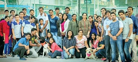 Dogs come to work, train people in teamwork