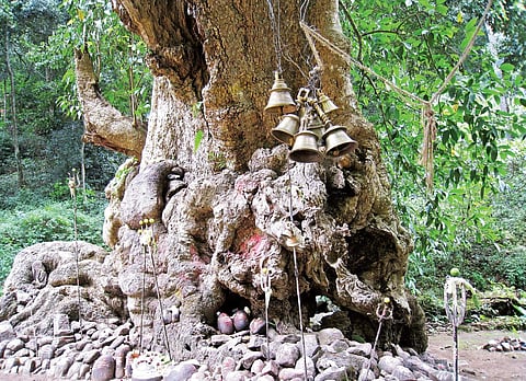 A Thousand springs & Infinite Joy!