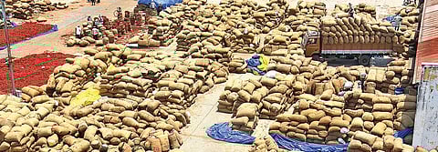 The agriculture marker yard, the biggest market yard in Asia, packed with Chilli bags in Guntur on Saturday | P RAVINDRA BABU