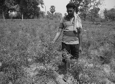 Ayaskant Badpanda in his agricultural land at Dangarpada village | Express