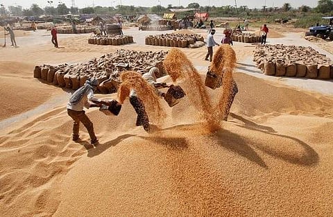 Workers remove dust from wheat at a wholesale grain market in Chandigarh. | Reuters