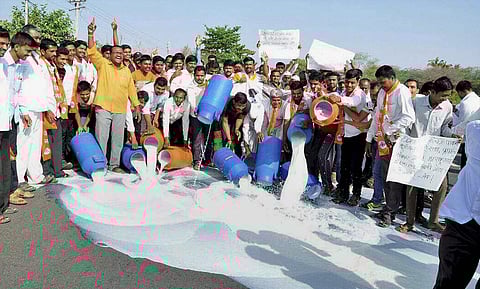 Farmers spilling milk on the road during their state-wide strike over various demands at a village in Ahmednagar Maharashtra.(File | PTI)