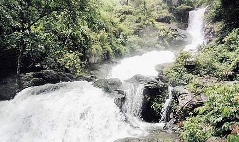 The Iruppu Falls in Brahmagiri Range of Kodagu district attracts many tourists