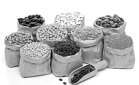 Farmers switch from paddy to pulses for better returns