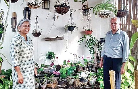 Ashok R Ahuja in his garden
