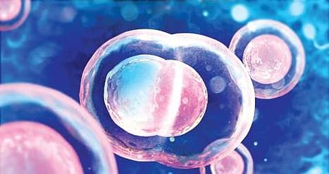 ‘Ban on commercial surrogacy must be lifted’