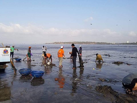 Citizen’s initiative to clean up over 50,000 tonnes of plastic waste off Versova beach | EPS