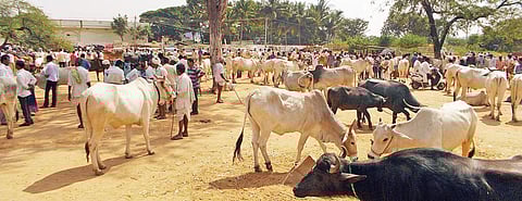 Image used for representational purpose.