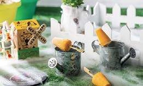 Too Indian Amuse-Bouche