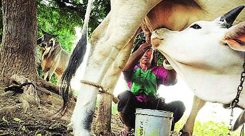 Image used for representational purpose only. | Express