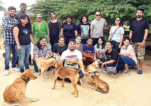 Volunteers of Manusatva at Maruthy Dog Shelter