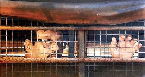 Dossa, 60, who was lodged in the Arthur Road jail, yesterday died at Mumbai's J J Hospital where he was admitted after complaining of chest pain. (File | PTI)