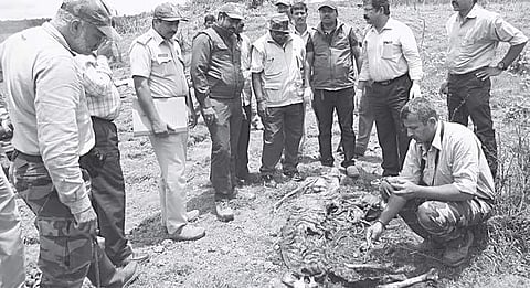 Forest officials inspecting the decomposed remains of the tiger at Hebbe range