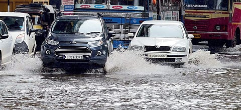 Incessant rain has been lashing the city for the past few days. A scene at Changampuzha Park in Kochi | File pic