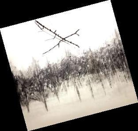 One of the art works