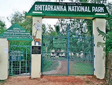 Bhitarkanika misses world heritage tag as State claims fall flat