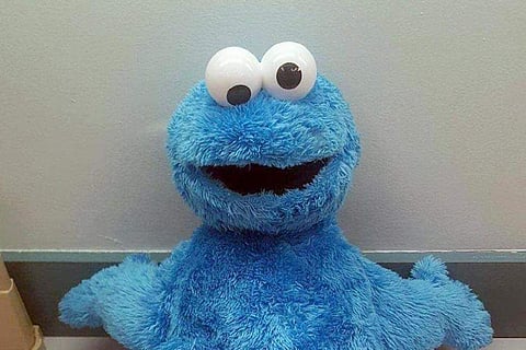 This undated photo provided by the Monroe County Sheriff's Office, shows the Cookie Monster doll discovered by a deputy with two packages of cocaine hidden inside. (file | Associated Press)