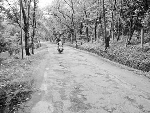 Park work put on fast track