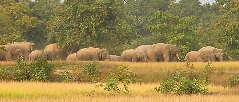 Image for Representational Purposes.