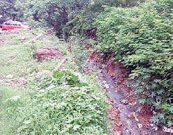 The open drain running near Srinivas Nagar in Visakhapatnam has become a breeding ground for mosquitoes | Express