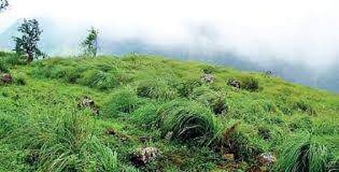 Ponmudi. (File |EPS)