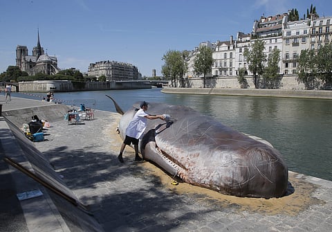 Tim Van Noten a member of a Belgian artists' collective pours water on a real-looking, life-size whale sculpture is displayed along the Seine River in Paris, France, Friday, July 21, 2017. (Associated Press)