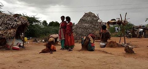 Irulas living in Meesanallur (above), Thellar, Eripattu, Emballam and Nadukuppam will move to a smart colony | samuel merigala