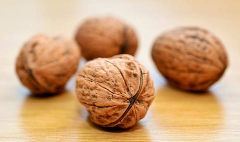 Eating walnuts may boost gut health, cut cancer risk