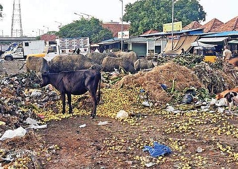 The market, which receives around 14,000 vehicles on average, hardly has any facilities, not even basic ones like drinking water and clean toilets | MARTIN LOUIS