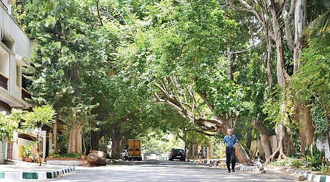 The draft of the Karnataka Town and Country Planning (Approval of Plot) Rules, 2017, put out recently by the Urban Development Department, proposes to allow different types of commercial activities in residential areas depending on the width of the roads